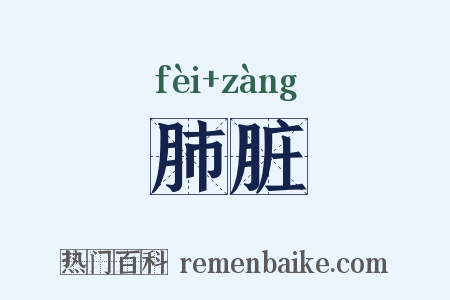 肺脏是什么意思的图片